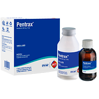 PENTRAX AC®- POLVO P.SUSP.EXTEMPORANEA